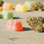 Interested in Edibles? Here’s Everything You Need to Know